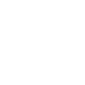 One Tree Planted