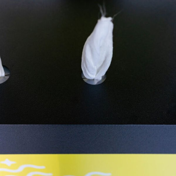 Novatis imports à Blainville